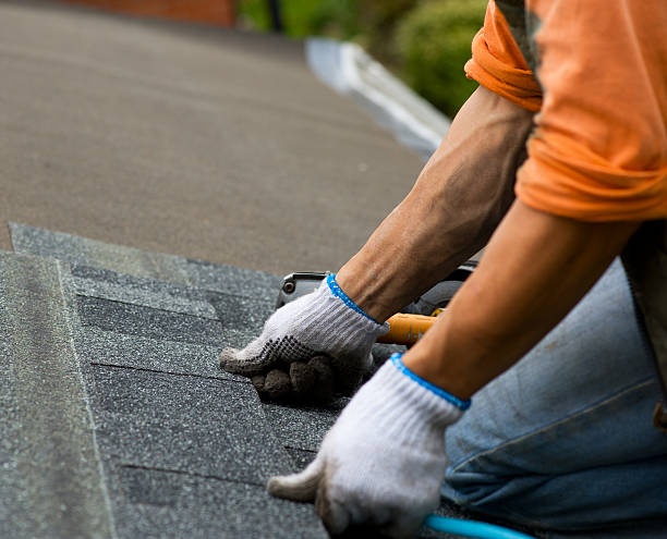 Best Metal Roofing Contractor  in Riverton, WY